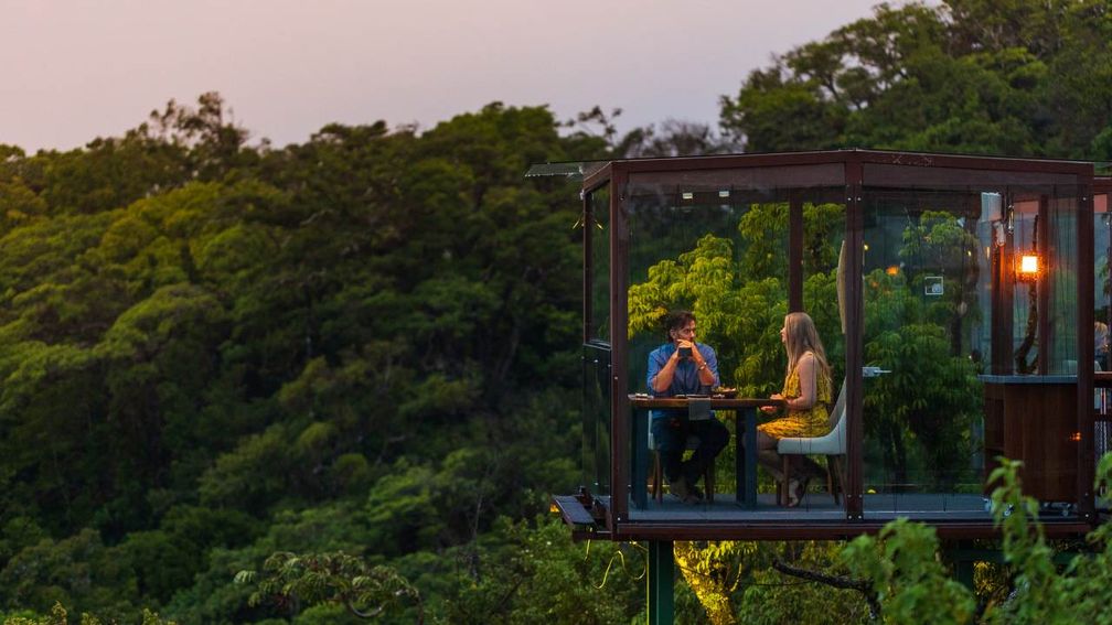  San Lucas Treetop Dining Experience