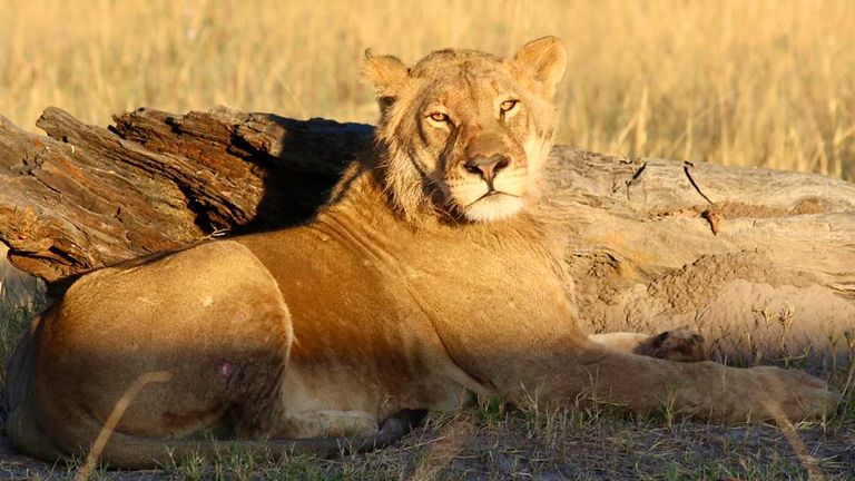 abercrombieandkenttoursouthafrica