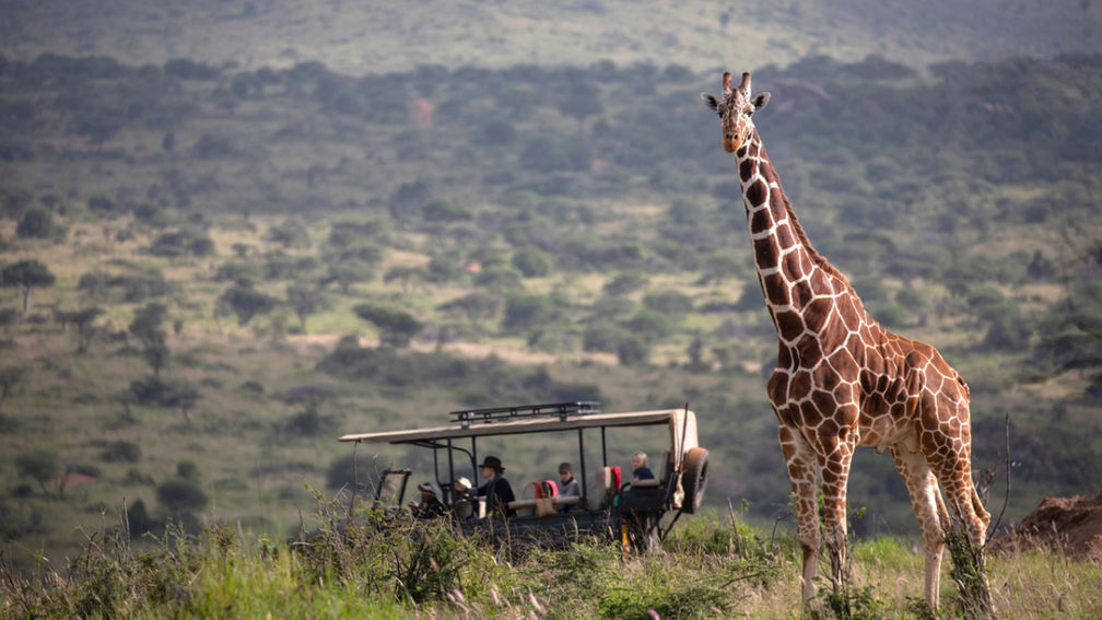 Advisors Can Win a $30,000 Safari Through New African Travel, Inc. Booking Incentive