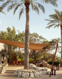 Al Maha, Luxury Collection Desert Resort