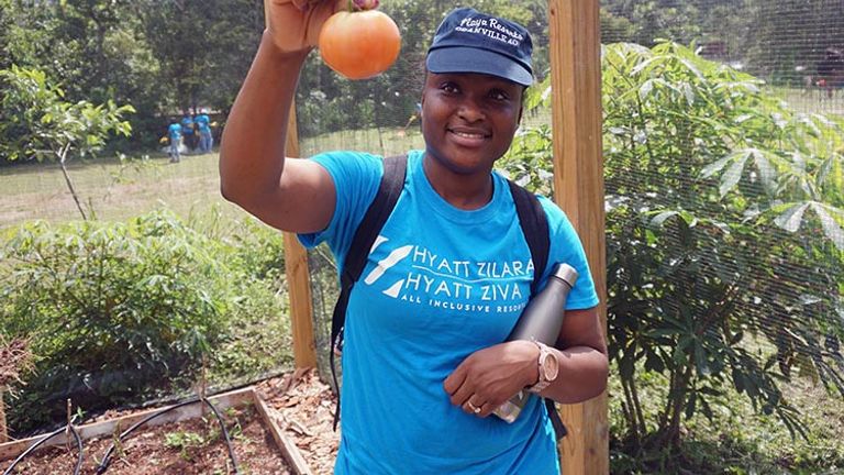 An employee holds a freshly harvested tomato. // © 2017 Valerie Chen