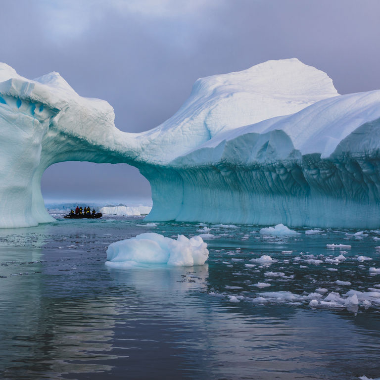 Antarctica Cruises