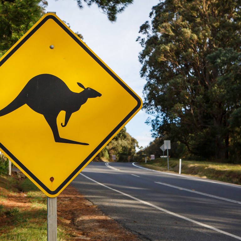 Australia & New Zealand Cruises