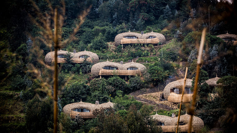Bisate features six forest villas; it named the No. 1 safari lodge in Africa for the Travel + Leisure World’s Best Awards in 2022.