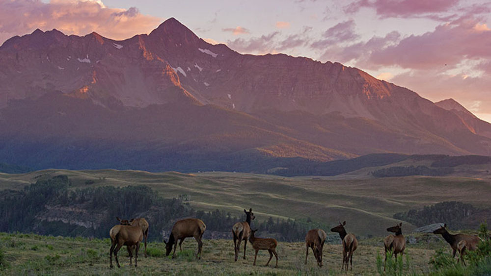 Wilson Peak is one of Colorado’s “14ers,” with a summit that sits at 14,017 feet, and it’s also the mountain on the Coors Light and Coors Banquet labels. // © 2017 Telluride Tourism Board/Ryan Bonneau