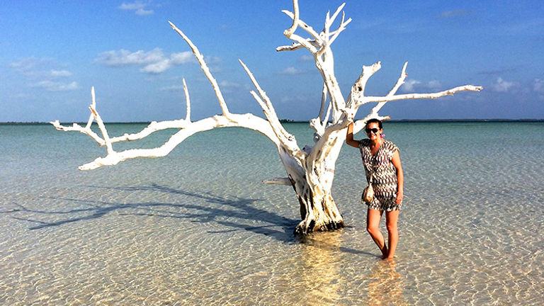 Courtney Beaver, an agent in Texas, says prospective clients vetting you might look at your whole feed—so limit your posts to the best photos. // © 2017 Courtney Beaver