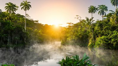 The new boat will mark the line's first foray in South America.