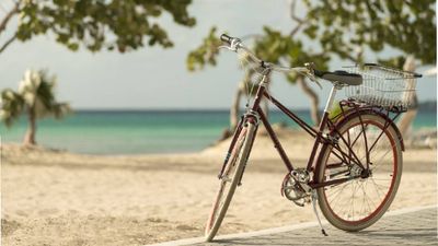 Travelers can enjoy biking activities in the Caribbean while taking in the scenery and warm weather.