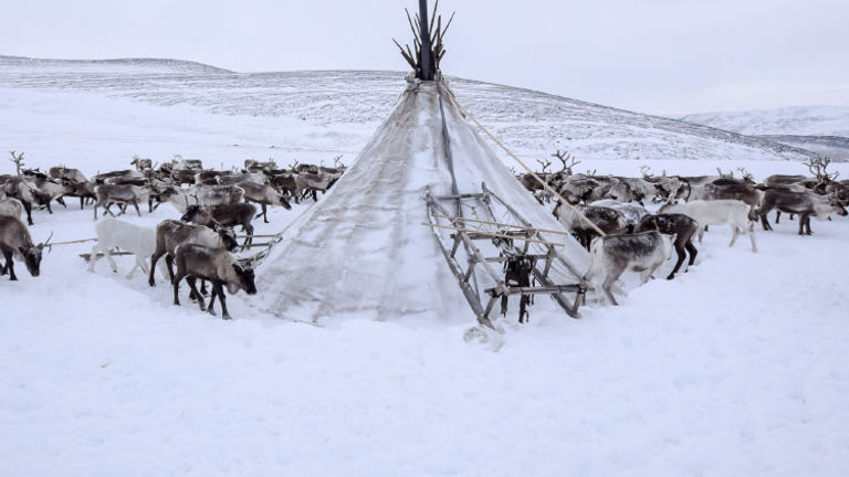 For example, Intrepid Travel’s new trip to Arctic Russia provides new jobs for the local community. // © 2017 Intrepid Travel