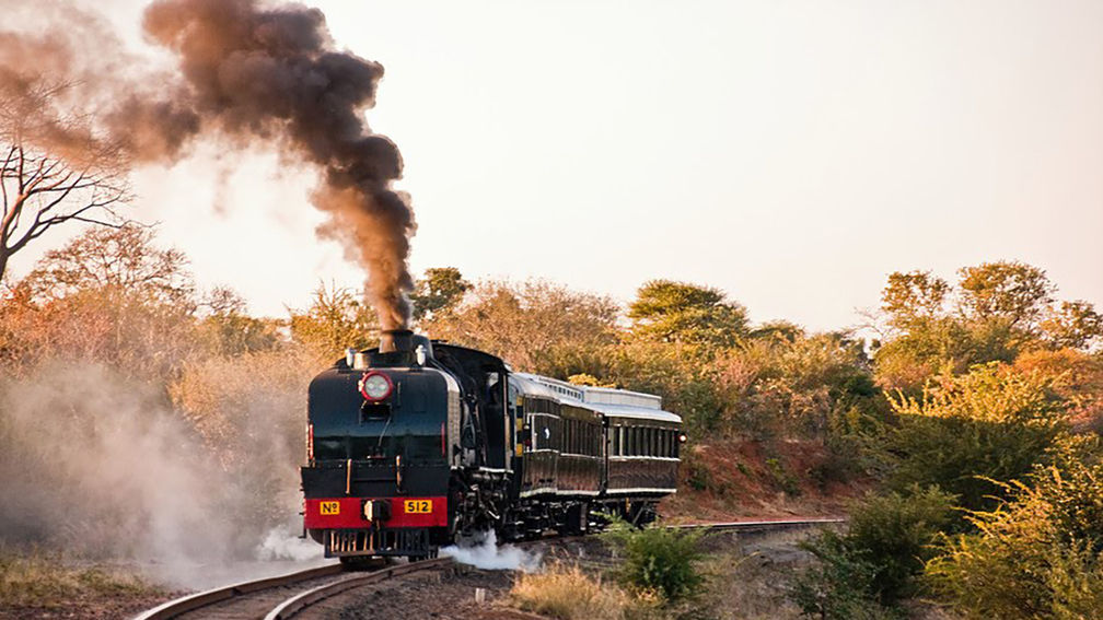 Get to Know Bushtracks Africa — and Its Exclusive Opportunities for Travelers
