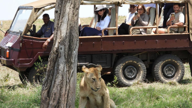 Gourmet Kosher Safaris offers travel experiences that follow kosher guidelines.