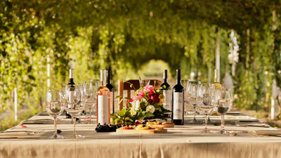 Mexico’s wine regions are emerging as top destinations for travelers seeking tastings, vineyard tours and unique cultural experiences.