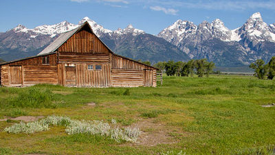 JacksonHoleSummer_feature