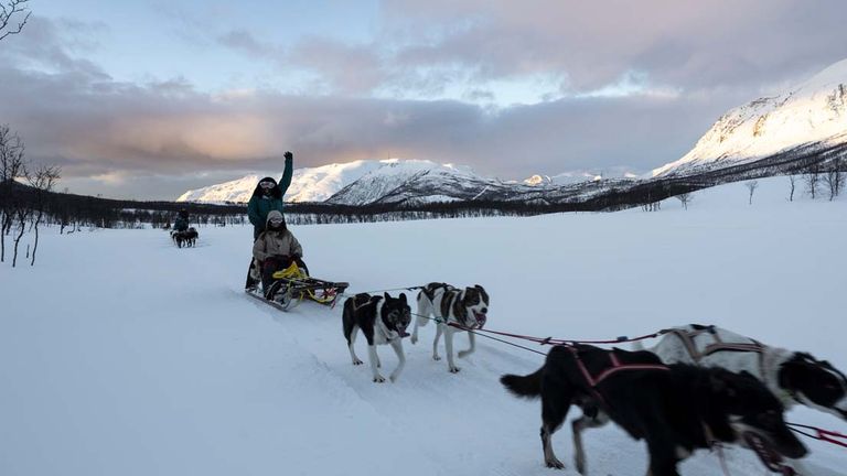 klattermusendogsledding