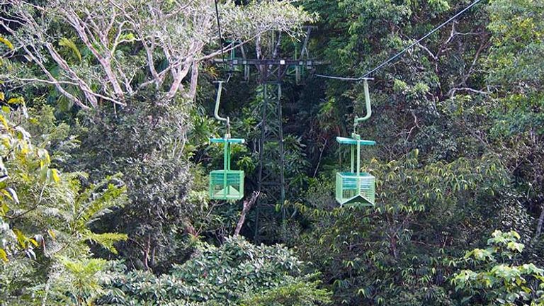 Local operator and hotel partner Gamboa Tours offers an aerial tram ride through the rainforest. // © 2016 Zorianna Kit
