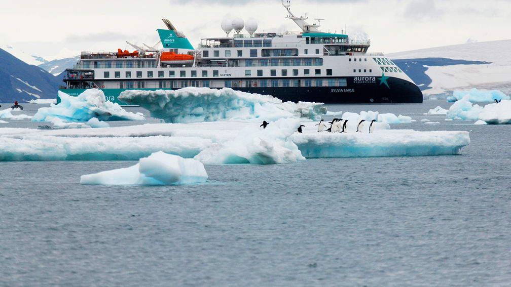 Review: Antarctica Onboard Aurora Expeditions’ Sylvia Earle