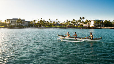 The bay in front of the resort is a prime place to spot marine life.