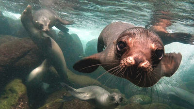 Exoticca’s Ecuador products offer travelers a chance to get up close with wildlife in the Galapagos.