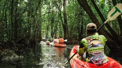 Travelers can kayak through Klong Root, a mangrove channel featured in the new film.