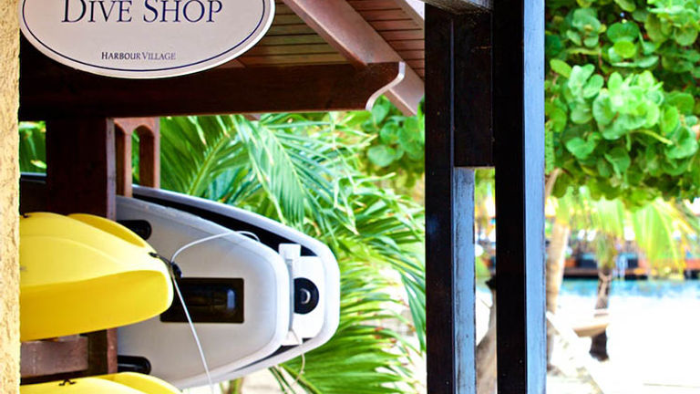 The beachside resort has its own dive shop. // © 2016 Harbor Village Beach Club