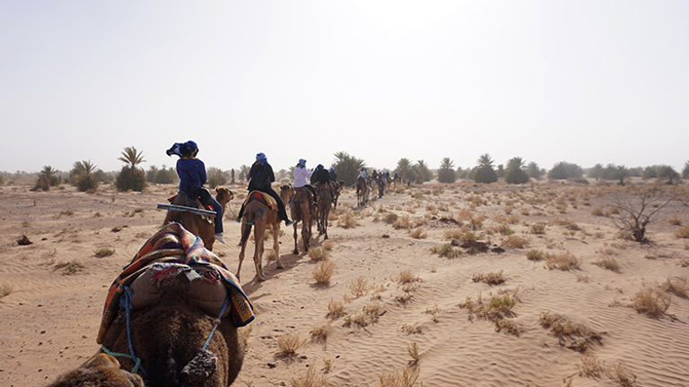 The itinerary includes riding camels in the Sahara Desert. // © 2018 Valerie Chen