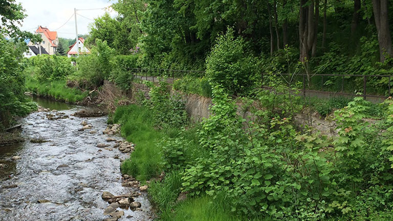 The most specific request was to track down the mother’s birthplace and first home in a small village in Poland. // © 2016 Mindy Poder