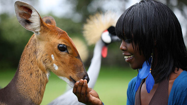 The on-site animal orphanage allows guests to get close to a variety of wildlife.  // © 2016 Fairmont Mount Kenya Safari Club
