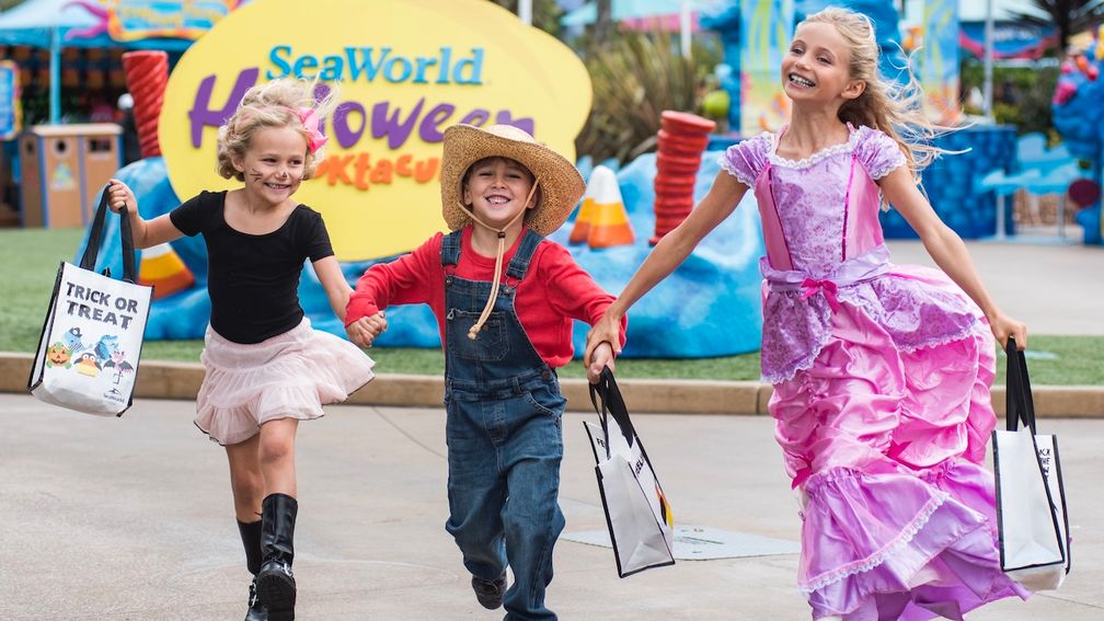 These Theme Park Halloween Celebrations Will Give Guests Chills Long Before October