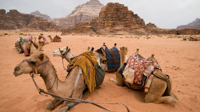 Travel to Jordan With Meaning