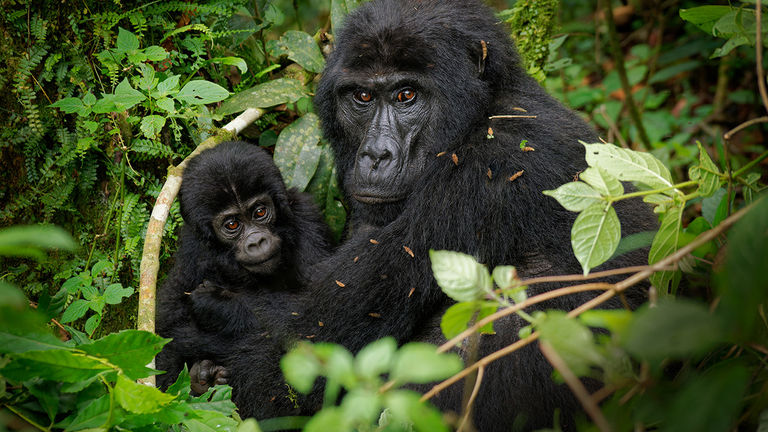 Travelers want to see destinations vulnerable to the effects of climate change.