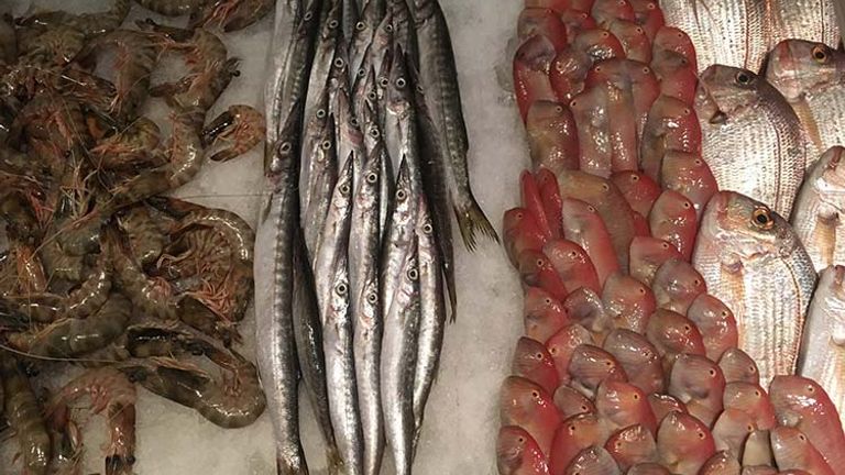 Upon entering a Lebanese seafood restaurant, clients are asked to pick out their fish for the night. // © 2017 Giselle Abcarian